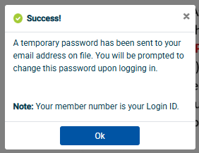 Screenshot of temporary password notice